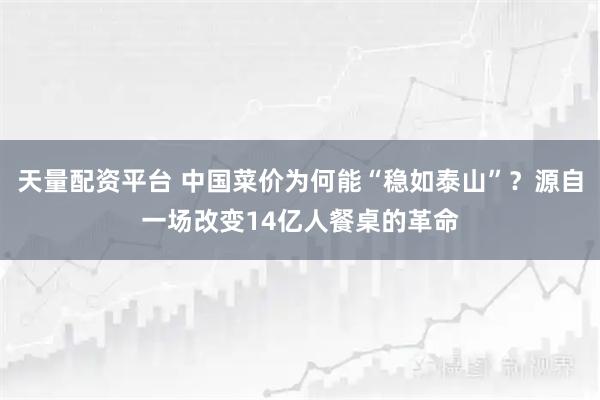 天量配资平台 中国菜价为何能“稳如泰山”？源自一场改变14亿人餐桌的革命