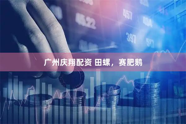 广州庆翔配资 田螺，赛肥鹅