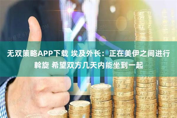 无双策略APP下载 埃及外长：正在美伊之间进行斡旋 希望双方几天内能坐到一起