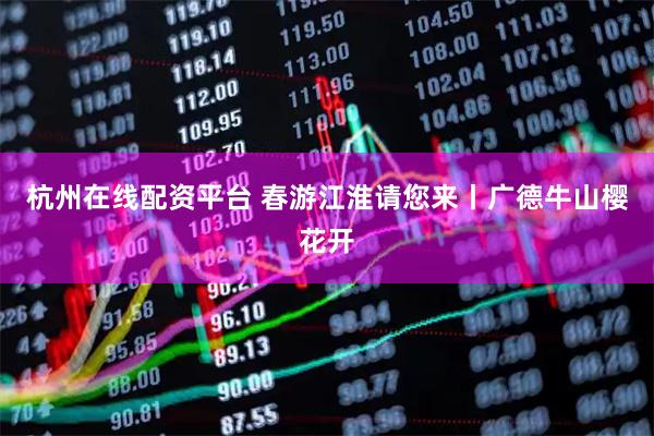 杭州在线配资平台 春游江淮请您来丨广德牛山樱花开